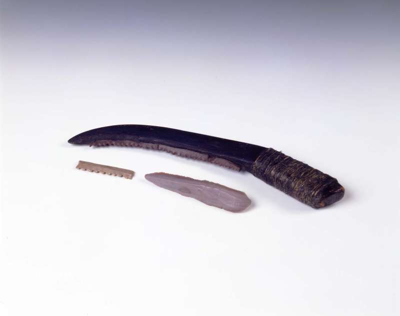 Reconstructed sickle